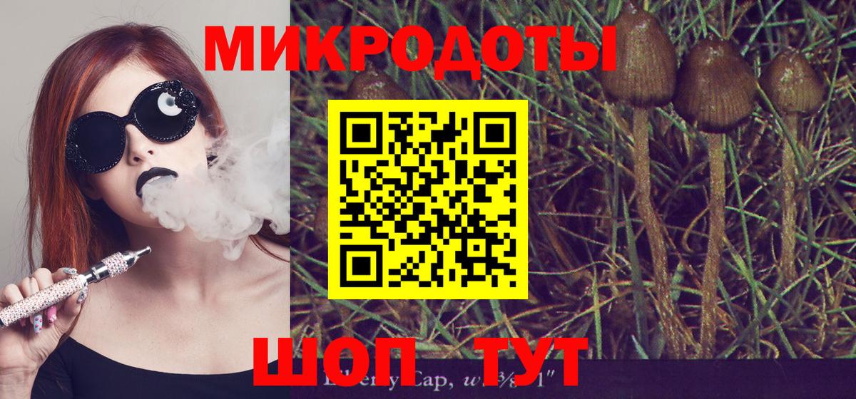 Псилоцибиновые грибы Magic Shrooms  Галлюциногенные грибы мицелий  Коряжма  купить закладку  Вход с VPN 